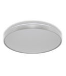 Plafonieră LED LEDVANCE CEILING LUXO ⌀ 56 cm 60 W 4000 K IP20 SILVER, 3300 lm, 120°, argintiu LEDVANCE