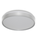 Plafonieră LED LEDVANCE CEILING LUXO ⌀ 32 cm 18 W 4000 K IP20 SILVER, 990 lm, 120°, argintiu LEDVANCE
