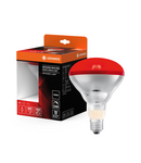 Miniatură Bec infraroșu Ledvance (Osram)  Infrared BR40 250 W 240V E27 RED, 1200 K, IP20 - imaginea 3