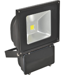 PROIECTOR CU LED 001-100W, KLAUSEN