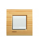 PLACA ORNAMENT, 2 MODULE, BAMBUS, LIVING LIGHT, BTICINO