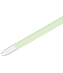 Tub LED T8 ,18 W, L: 1200 mm,legume