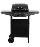 GRILL 2 ARZATOARE GAZ BBQ 2000 TEESA