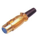 MUFA XLR MAMA GOLD