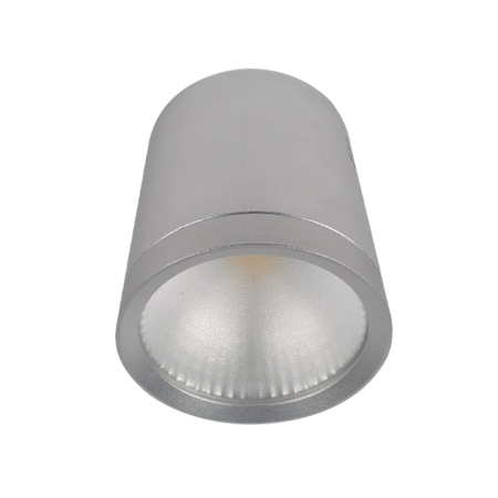 SPOT CU LED RDLCOB 10W 230W 2700K 60° ARGINTIU