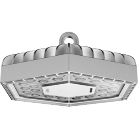 ESALITE HB - 20K - ELLIPTICAL OPTIC - DALI - 3000 K (CRI 80) - IP66 - CLASS I - RAL 9006 GREY