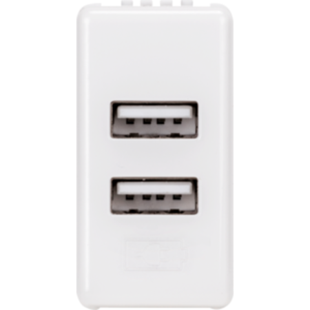 Double usb power supply - 1 module - system white