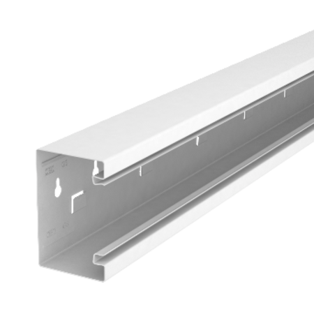 Device installation trunking, trunking height 70 mm | type gs-s70110lgr