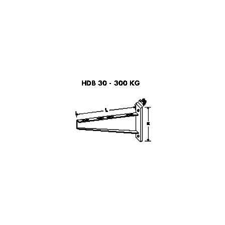 Elvan - Suport perete 300kg-100mm