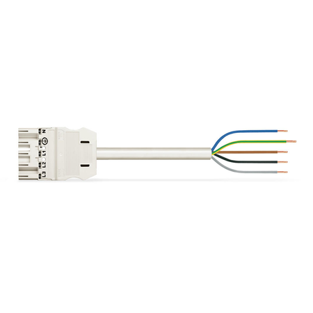 Pre-assembled connecting cable; eca; plug/open-ended; 5-pole; cod. a; h05vv-f 5g 1.5 mm²; 6 m; 1,50 mm²; white