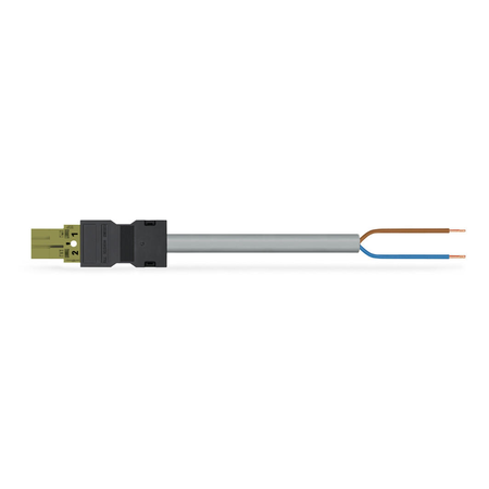 pre-assembled connecting cable; Eca; Plug/open-ended; 2-pole; Cod. B; Control cable 2 x 1.0 mm²; 4m; 1,00 mm²; light green