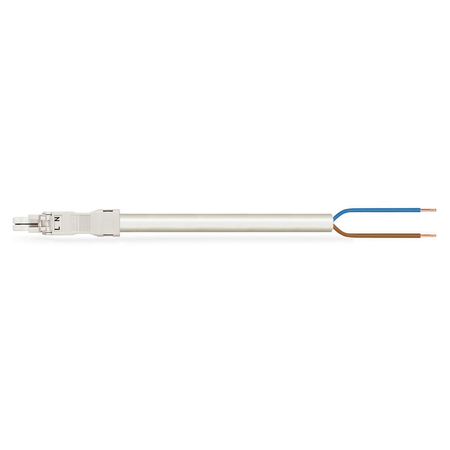 pre-assembled connecting cable; Eca; Socket/open-ended; 2-pole; Cod. A; H05VV-F 2 x 1.0 mm²; 2 m; 1,00 mm²; white