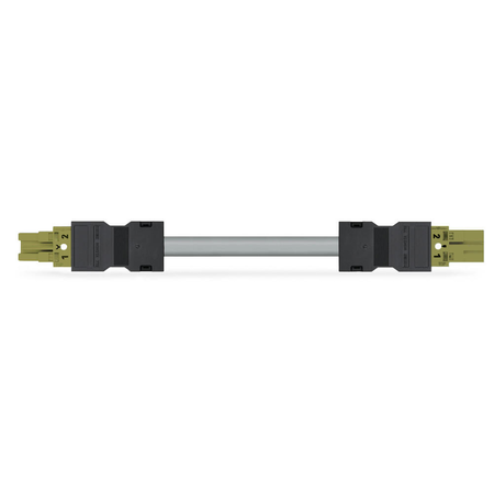 pre-assembled interconnecting cable; B2ca; Socket/plug; 2-pole; Cod. B; 2 m; 1,00 mm²; light green