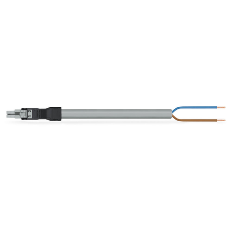 pre-assembled connecting cable; Eca; Socket/open-ended; 2-pole; Cod. B; Control cable 2 x 1.0 mm²; 2 m; 1,00 mm²; gray