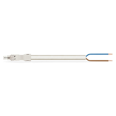 pre-assembled connecting cable; Eca; Socket/open-ended; 2-pole; Cod. A; H05VV-F 2 x 1.0 mm²; 8 m; 1,00 mm²; white