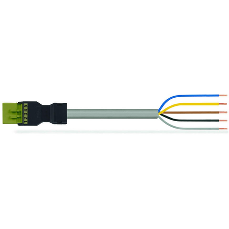 pre-assembled connecting cable; Eca; Plug/open-ended; 5-pole; Cod. B; 2 m; 1,50 mm²; light green