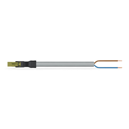 pre-assembled connecting cable; Eca; Plug/open-ended; 2-pole; Cod. B; Control cable 2 x 1.5 mm²; 8 m; 1,50 mm²; light green