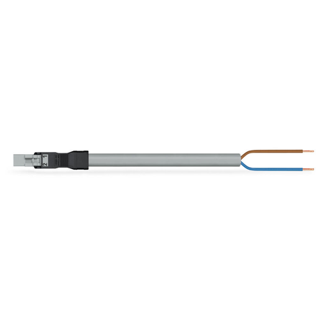 pre-assembled connecting cable; Eca; Plug/open-ended; 2-pole; Cod. B; Control cable 2 x 1.5 mm²; 8 m; 1,50 mm²; gray