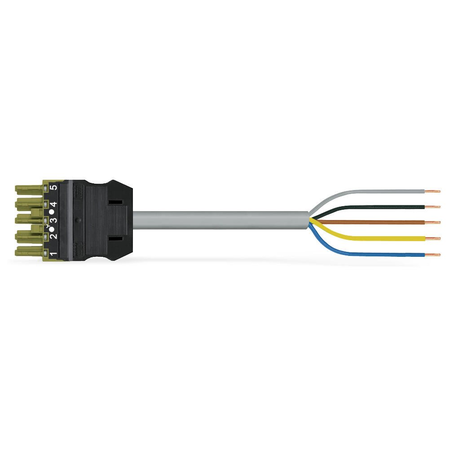 pre-assembled connecting cable; Eca; Socket/open-ended; 5-pole; Cod. B; 1 m; 1,00 mm²; light green