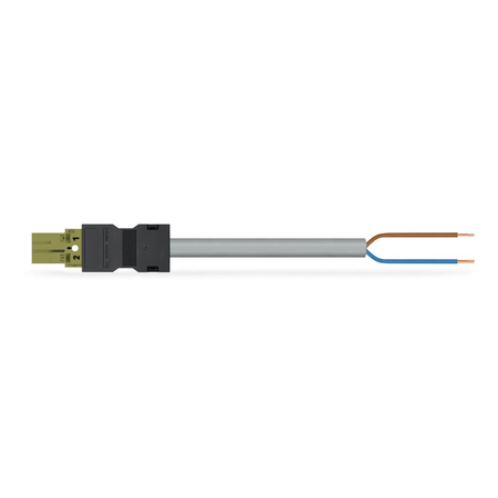 pre-assembled connecting cable; Eca; Plug/open-ended; 2-pole; Cod. B; Control cable 2 x 1.0 mm²; 2 m; 1,00 mm²; light green