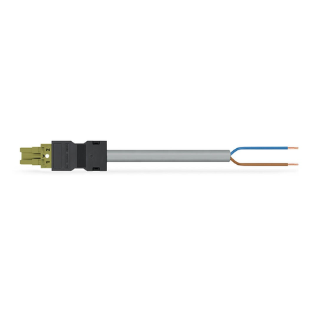 pre-assembled connecting cable; Eca; Socket/open-ended; 2-pole; Cod. B; Control cable 2 x 1.0 mm²; 3 m; 1,00 mm²; light green