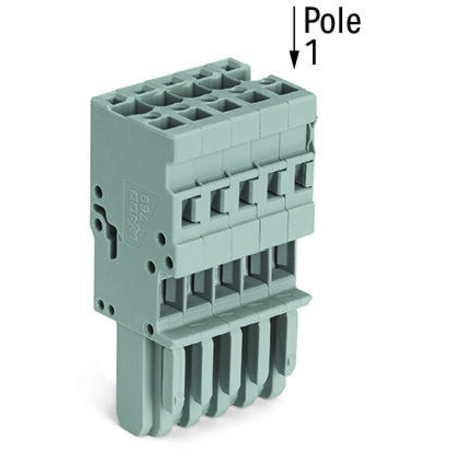 1-conductor female plug; 4 mm²; 10-pole; 4,00 mm²; gray