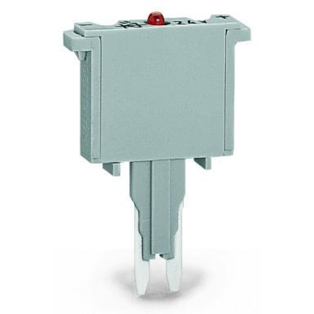 Fuse plug; with soldered miniature fuse; with indicator lamp; LED (red); DC 15 - 30 V; 250 mA FF; 5 mm wide; gray