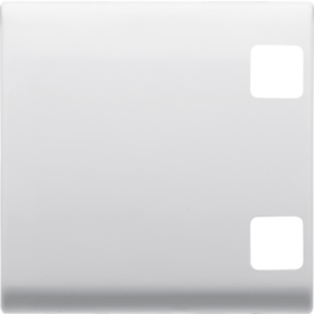 Tasta buton pentru push-button panel - se completeaza cu 2 lentila - 2 module - alb - chorus