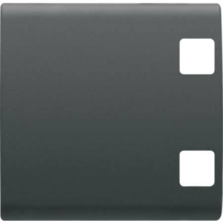 Tasta buton pentru push-button panel - se completeaza cu 2 lentila - 2 module - negru - chorus