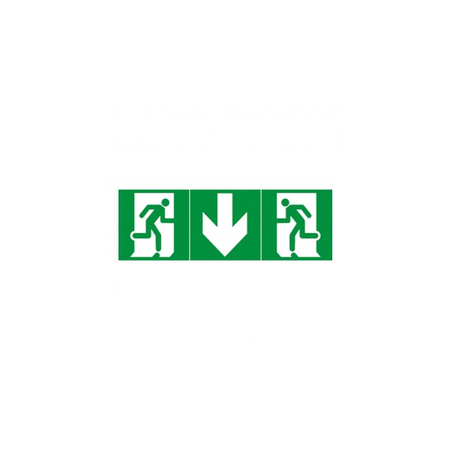 Label - pentru emergency lighting luminaires - exit usa below - 100 x 200 mm