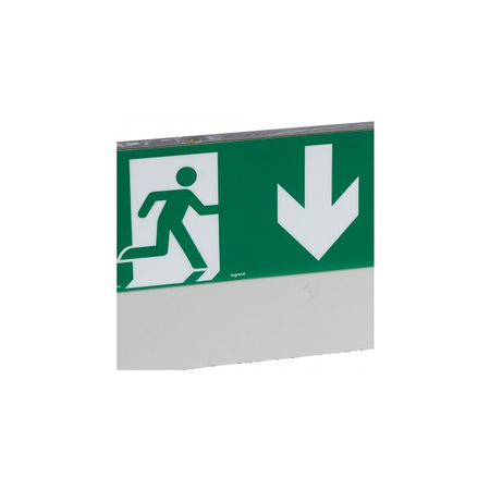 Label - pentru emergency lighting luminaires - exit usa below - 127 x 254 mm