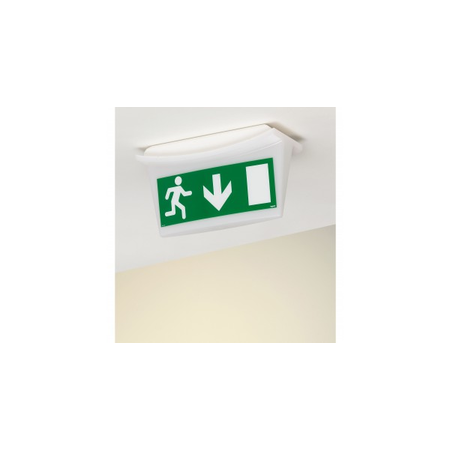 Label - pentru emergency lighting luminaires - exit usa below - 310x112 mm