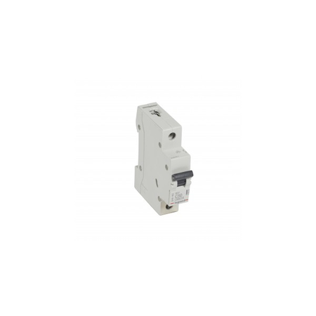 Siguranta automata MCB RX³ 6000 - 1P - 230/400 V~ - 50 A - C curba - prong-type supply busbars