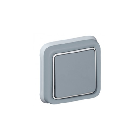 Switch Plexo IP55 - 2-way - 10 AX 250 V~ - flush mounting - gri