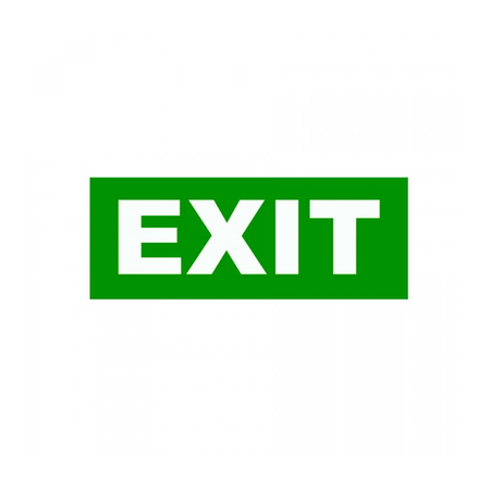 Autocolant verde ” exit ” (140mm x 80mm)