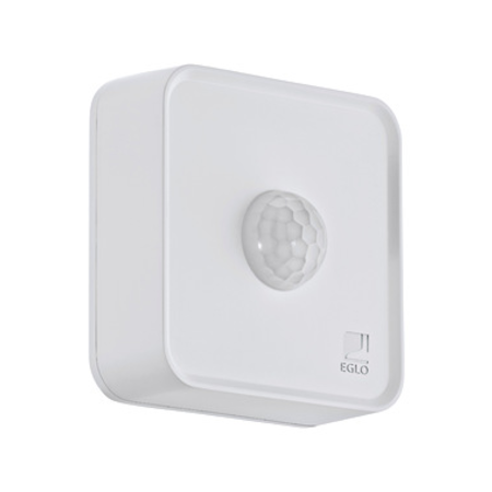 Connect sensor white, motion detector day/night function