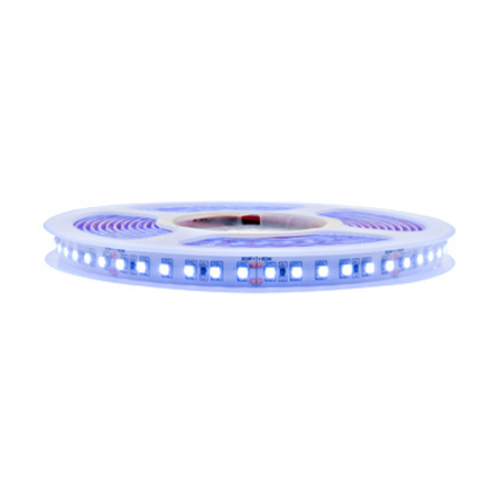 LED Flexstrip 48 Blue IP43, 165lm/m, 10W/m L=5m,24VDC