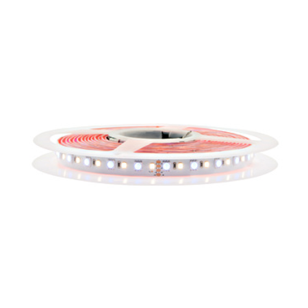 LED Strip 115 RGB-NW IP43,RA90+,935lm/m,12W/m L=5m, 24VDC