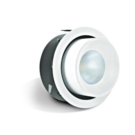 Riko-R COB LED, 700mA, 25W, 4000K, 2200lm, 40°, IP20, alb