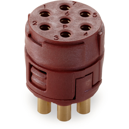 Conector industrial EPIC SIGNAL M23 7P BLMS (5)