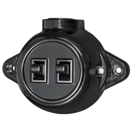 ANTIQUE TWO BUTTON ONE WAY SWITCH 10А 250V BLACK