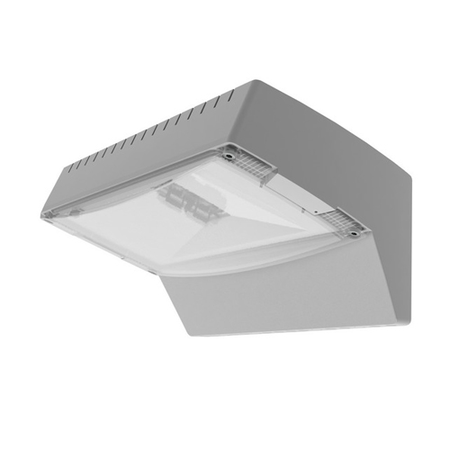 Corp iluminat de siguranta 100-052-521 Outdoor wall 2x1.5W LED 1H 239lm 5000K IP65