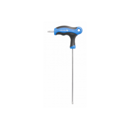 Cheile de securitate Torx T-TYPE, TT30 lung