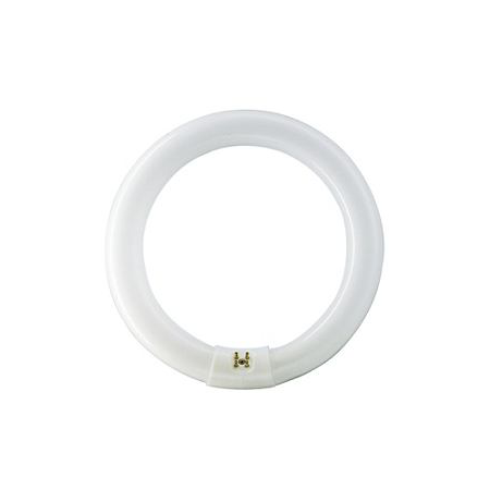 TUB NEON - MASTER TL-E Circular 22W/840 1CT/12