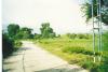 FOR SALE: Lot / Land / Farm Nueva Ecija