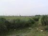 FOR SALE: Lot / Land / Farm Nueva Ecija