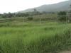 FOR SALE: Lot / Land / Farm Aritao, Nueva Vizcaya