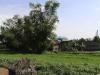 FOR SALE: Lot / Land / Farm Bacolod 2