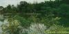 FOR SALE: Lot / Land / Farm Rizal > Antipolo 1