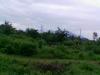 FOR SALE: Lot / Land / Farm Laguna